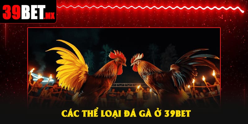 Các thể loại đá gà ở 39Bet