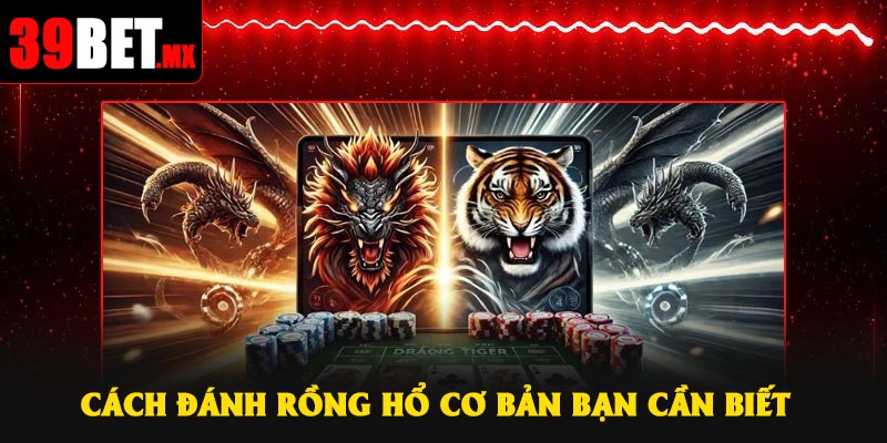 Cách đánh Rồng Hổ cơ bản bạn cần biết