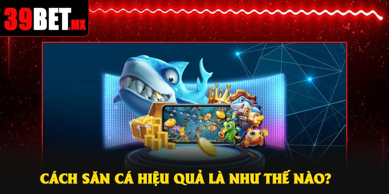 Cách săn cá hiệu quả là như thế nào?