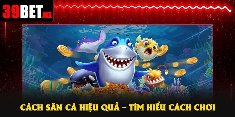 Cách săn cá hiệu quả – Tìm hiểu cách chơi