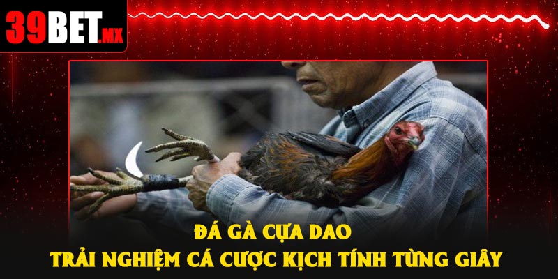 Đá Gà Cựa Dao – Trải Nghiệm Cá Cược Kịch Tính Từng Giây