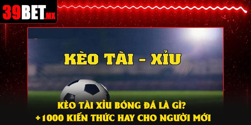 Kèo Tài Xỉu Bóng Đá Là Gì? +1000 Kiến Thức Hay Cho Người Mới