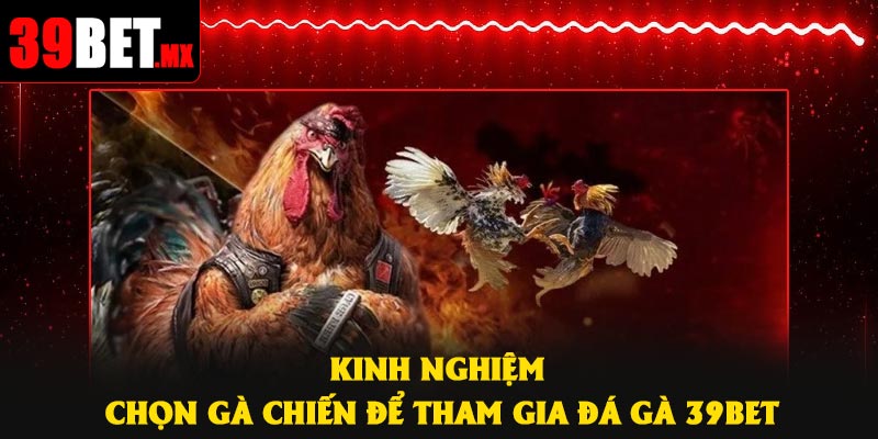 Kinh nghiệm chọn gà chiến để tham gia Đá Gà 39Bet