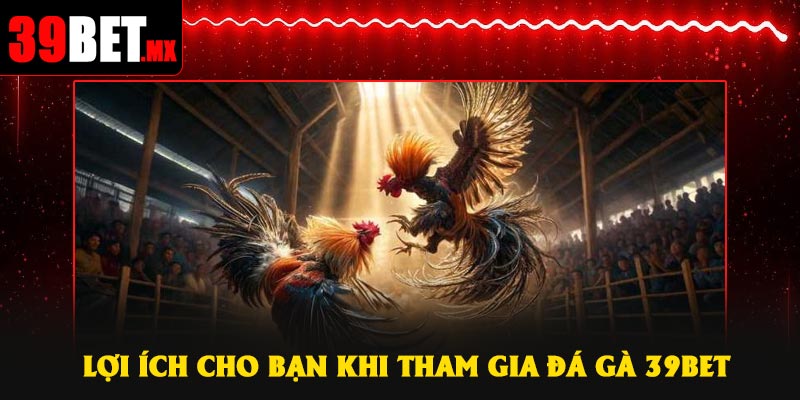 Lợi ích cho bạn khi tham gia Đá Gà 39Bet